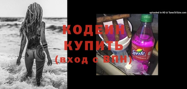 крисы Приозерск