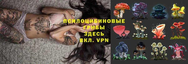 ПСИЛОЦИБИНОВЫЕ ГРИБЫ Пролетарск
