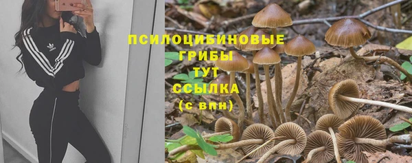 ПСИЛОЦИБИНОВЫЕ ГРИБЫ Пролетарск