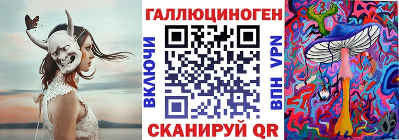 Псилоцибиновые грибы Psilocybe Апшеронск