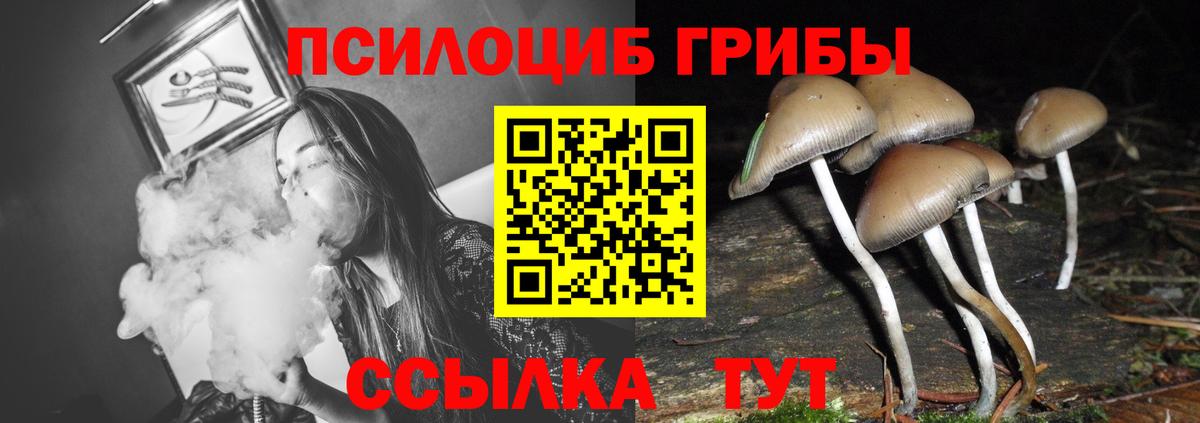 Псилоцибиновые грибы мицелий  Псилоцибиновые грибы MAGIC MUSHROOMS  Вход с VPN  Апшеронск 
